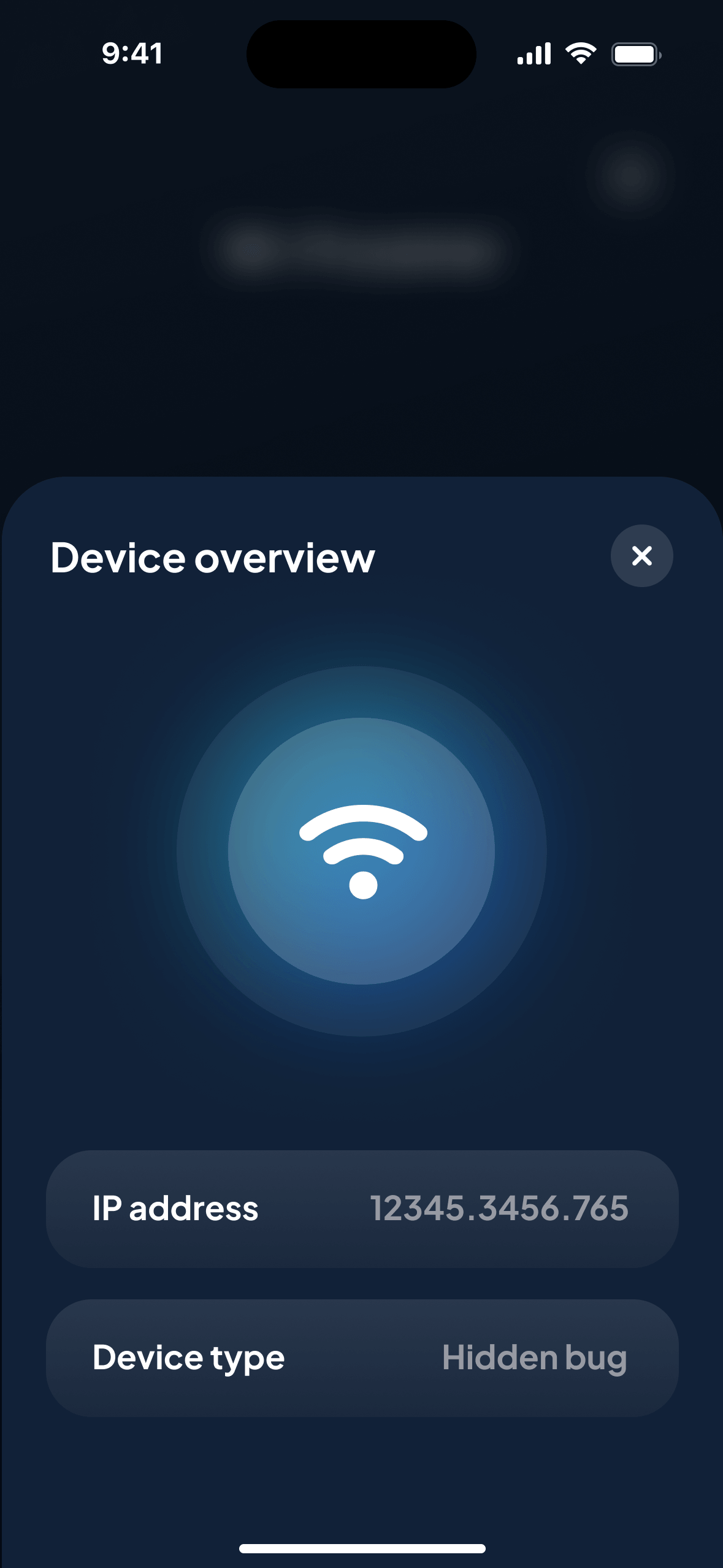 NoSpy — device overview with IP address and device type (Hidden bug)